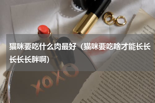 猫咪要吃什么肉最好（猫咪要吃啥才能长长长长长胖啊）