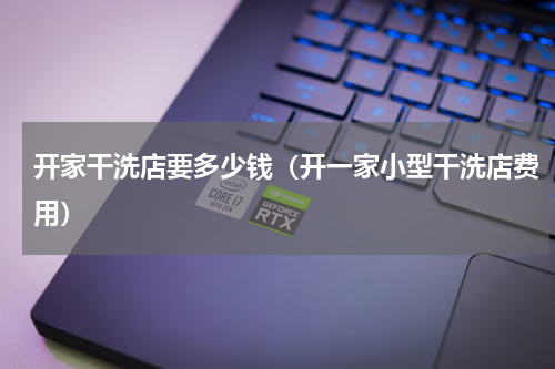 开家干洗店要多少钱（开一家小型干洗店费用）