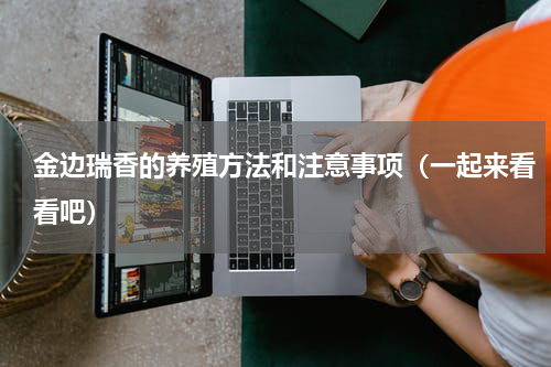 金边瑞香的养殖方法和注意事项（一起来看看吧）