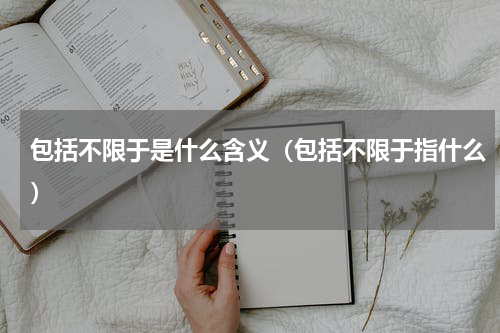 包括不限于是什么含义（包括不限于指什么）