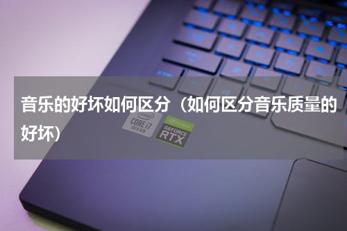 音乐的好坏如何区分（如何区分音乐质量的好坏）