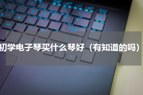 初学电子琴买什么琴好（有知道的吗）