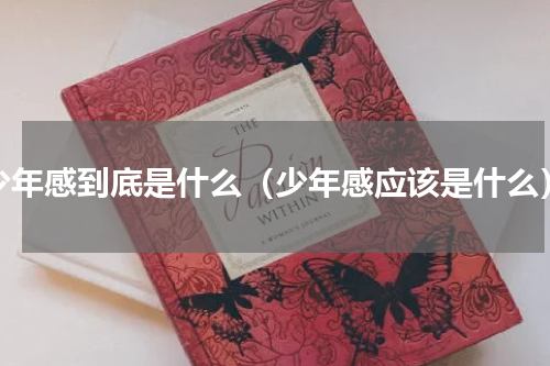 少年感到底是什么（少年感应该是什么）