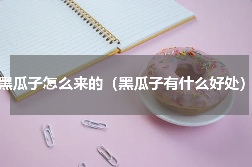 黑瓜子怎么来的（黑瓜子有什么好处）