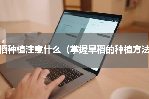 旱稻种植注意什么（掌握旱稻的种植方法）