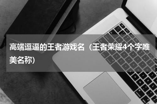 高端逗逼的王者游戏名（王者荣耀4个字唯美名称）