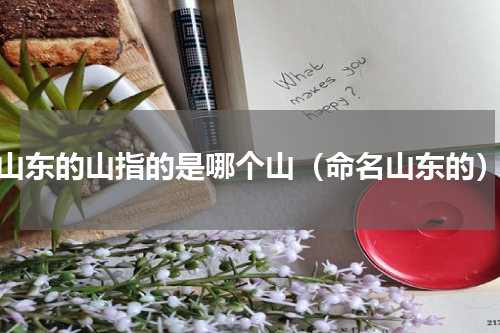 山东的山指的是哪个山（命名山东的）