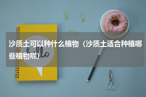 沙质土可以种什么植物（沙质土适合种植哪些植物呢）
