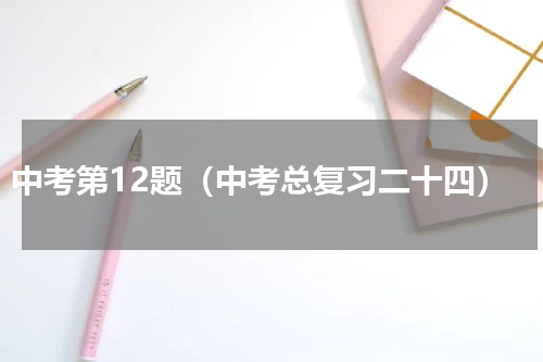 中考第12题（中考总复习二十四）