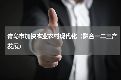 青岛市加快农业农村现代化（融合一二三产发展）