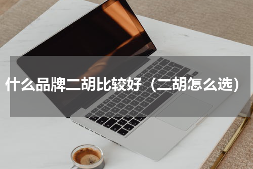 什么品牌二胡比较好（二胡怎么选）
