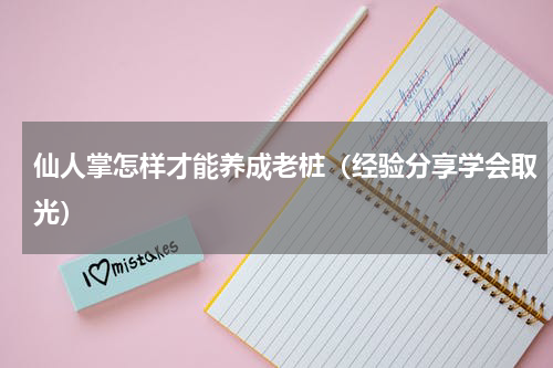 仙人掌怎样才能养成老桩（经验分享学会取光）