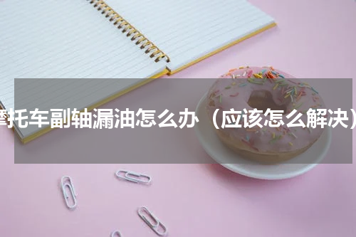 摩托车副轴漏油怎么办（应该怎么解决）