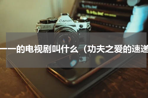 杨一一的电视剧叫什么（功夫之爱的速递）