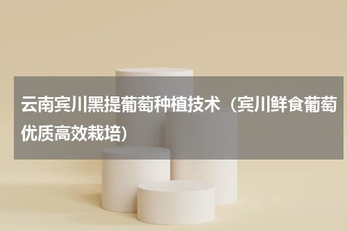 云南宾川黑提葡萄种植技术（宾川鲜食葡萄优质高效栽培）
