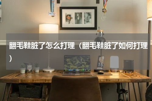 翻毛鞋脏了怎么打理（翻毛鞋脏了如何打理）