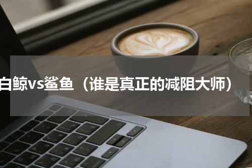 白鲸vs鲨鱼（谁是真正的减阻大师）