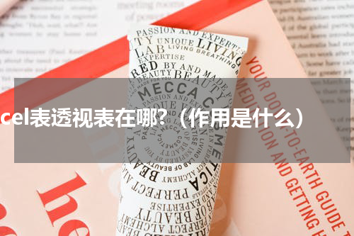 excel表透视表在哪?（作用是什么）