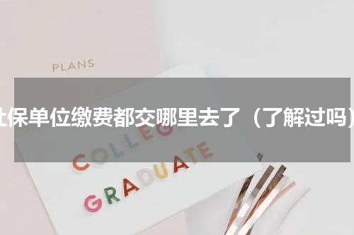 社保单位缴费都交哪里去了（了解过吗）