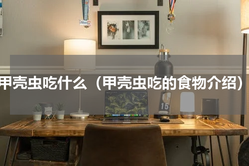 甲壳虫吃什么（甲壳虫吃的食物介绍）