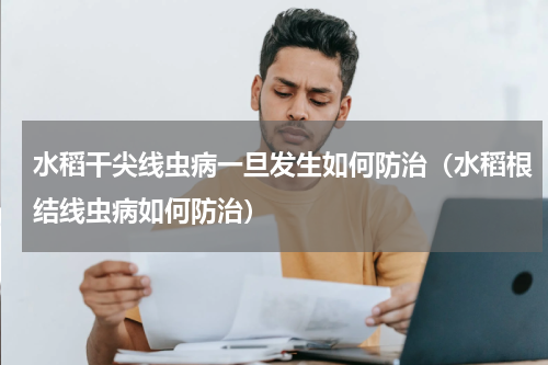 水稻干尖线虫病一旦发生如何防治（水稻根结线虫病如何防治）