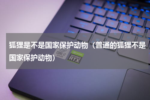 狐狸是不是国家保护动物（普通的狐狸不是国家保护动物）