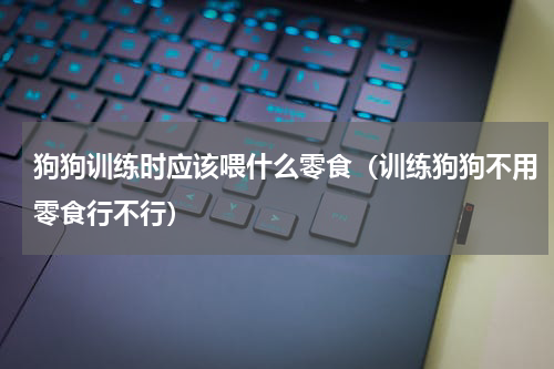 狗狗训练时应该喂什么零食（训练狗狗不用零食行不行）
