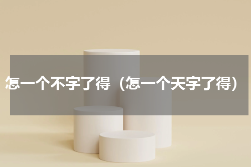 怎一个不字了得（怎一个天字了得）