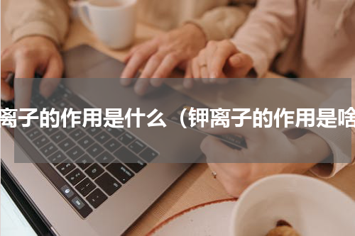 钾离子的作用是什么（钾离子的作用是啥）