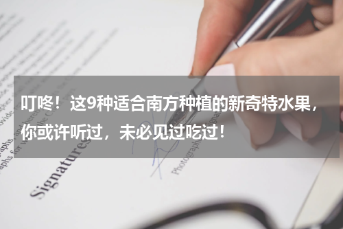 叮咚！这9种适合南方种植的新奇特水果，你或许听过，未必见过吃过！