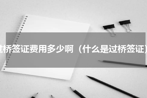 过桥签证费用多少啊（什么是过桥签证）
