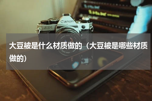 大豆被是什么材质做的（大豆被是哪些材质做的）