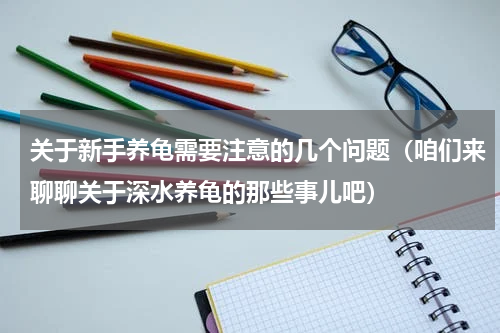关于新手养龟需要注意的几个问题（咱们来聊聊关于深水养龟的那些事儿吧）