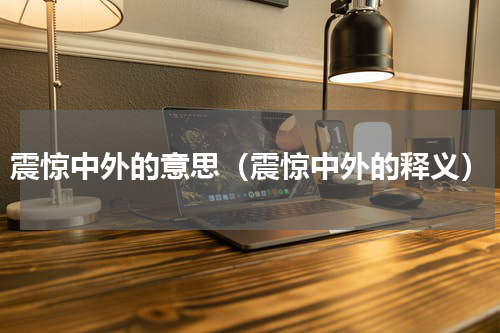 震惊中外的意思（震惊中外的释义）