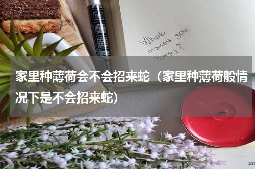 家里种薄荷会不会招来蛇（家里种薄荷般情况下是不会招来蛇）