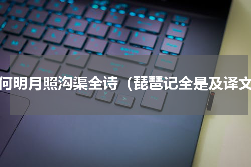 奈何明月照沟渠全诗（琵琶记全是及译文）