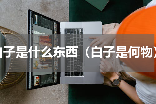 白子是什么东西（白子是何物）