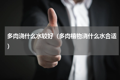 多肉浇什么水较好（多肉植物浇什么水合适）