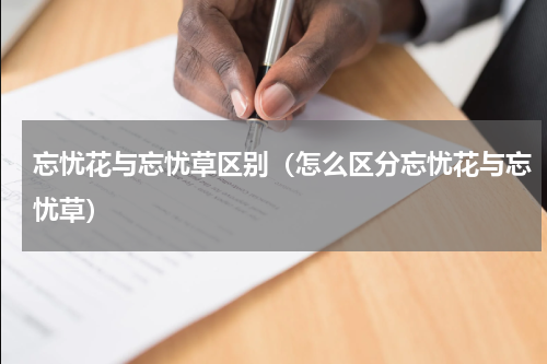 忘忧花与忘忧草区别（怎么区分忘忧花与忘忧草）