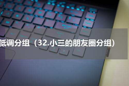 低调分组（32.小三的朋友圈分组）