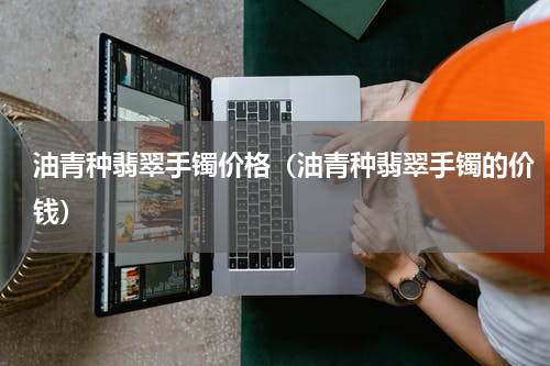 油青种翡翠手镯价格（油青种翡翠手镯的价钱）