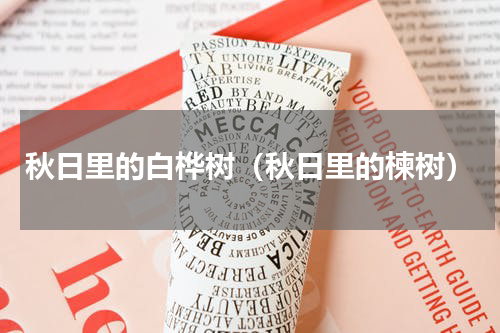 秋日里的白桦树（秋日里的楝树）