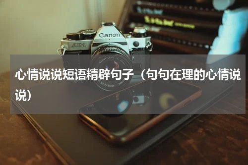 心情说说短语精辟句子（句句在理的心情说说）
