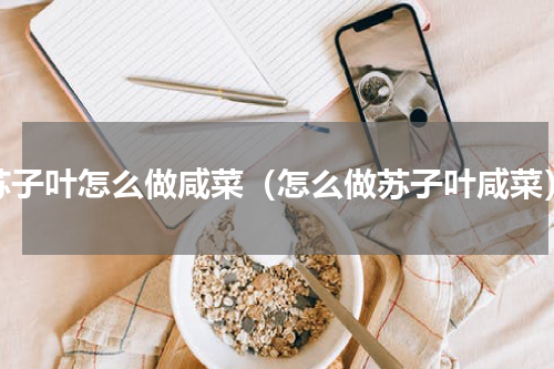 苏子叶怎么做咸菜（怎么做苏子叶咸菜）