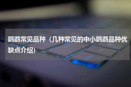 鹦鹉常见品种（几种常见的中小鹦鹉品种优缺点介绍）