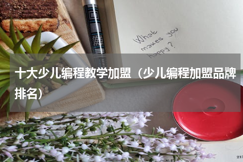 十大少儿编程教学加盟（少儿编程加盟品牌排名）