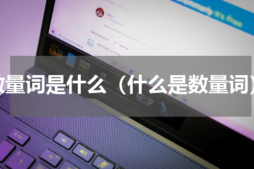 数量词是什么（什么是数量词）