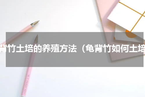 龟背竹土培的养殖方法（龟背竹如何土培）