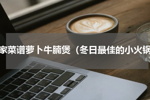 独家菜谱萝卜牛腩煲（冬日最佳的小火锅）