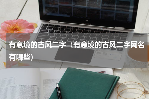 有意境的古风二字（有意境的古风二字网名有哪些）